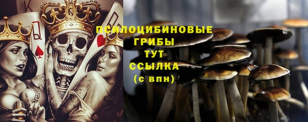 гашик Балахна