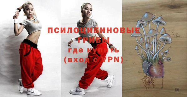 гашик Балахна