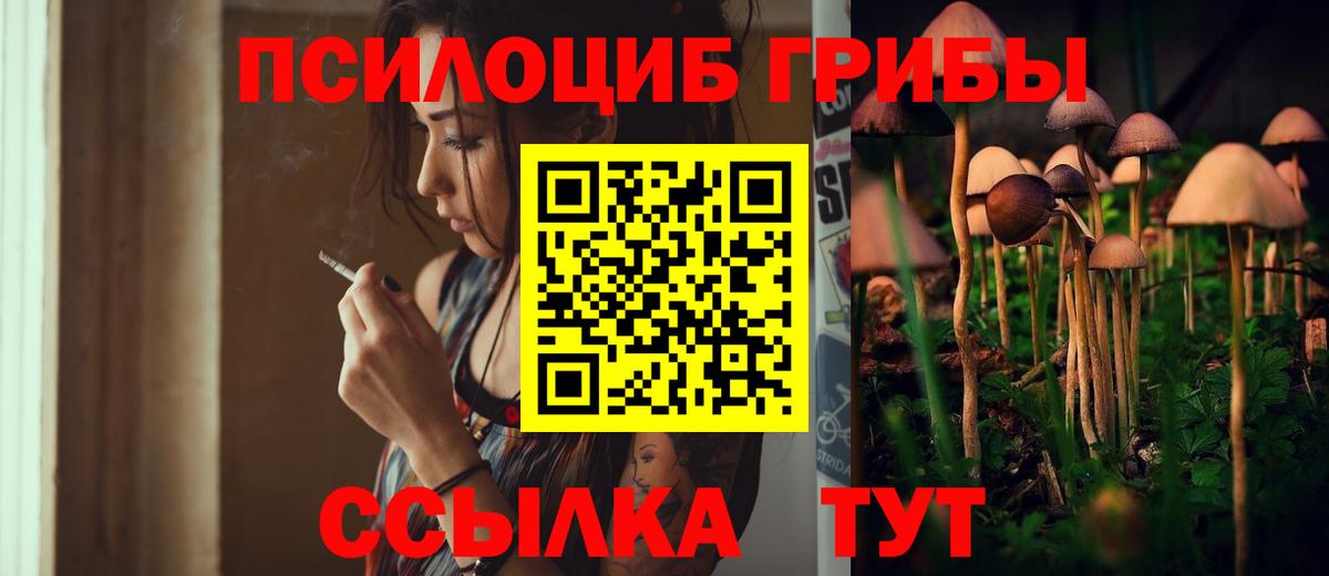 Галлюциногенные грибы GOLDEN TEACHER Белогорск